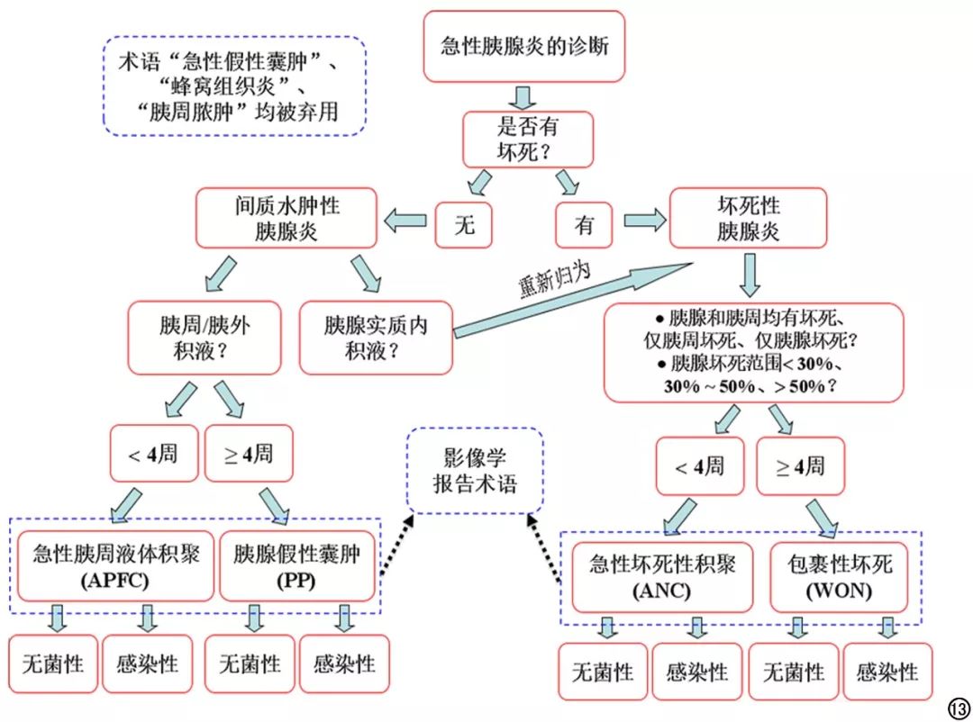 急性胰腺炎新型分类及其探讨，创新视角的分类研究